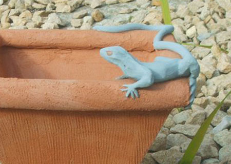 Lizard on square pot | Judith Hobbs